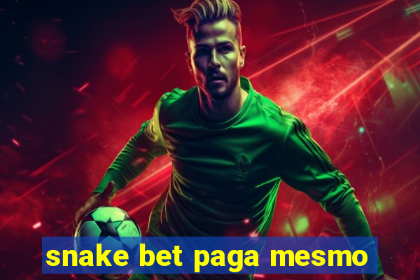 snake bet paga mesmo